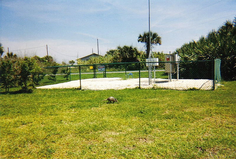 Canaveral National Seashore